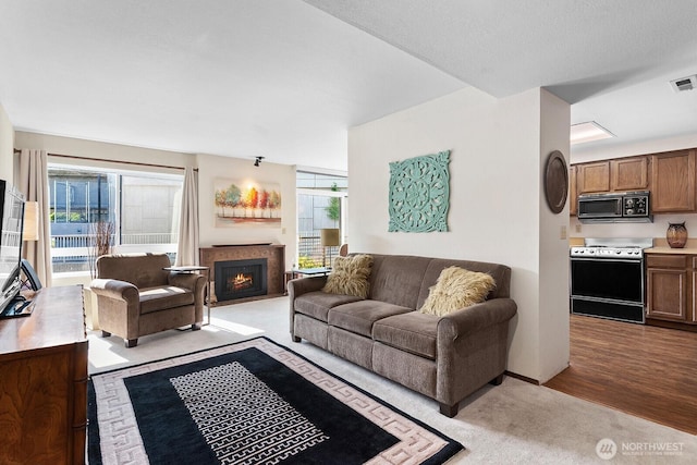11300 1st Ave NE # 224, Seattle, WA 98125 - carpeted living area with healthy amount of natural light and a warm lit fireplace