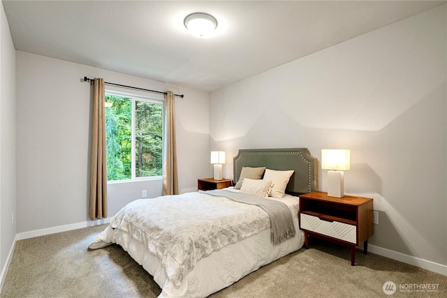 13421 Admiralty Way Unit A-2, Lynnwood, WA 98087 - bedroom featuring carpet floors