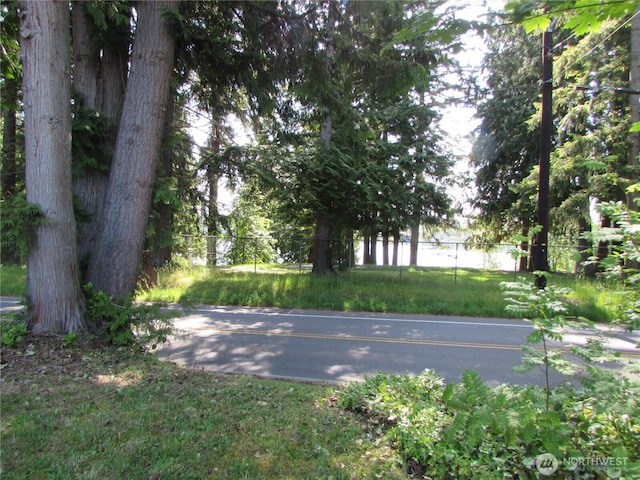 11622 Silver Lake Rd Unit 14, Everett, WA 98208 - view of yard