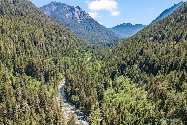 60018 Index Galena Rd, Sultan, WA 98294 - view of mountain backdrop with a forest