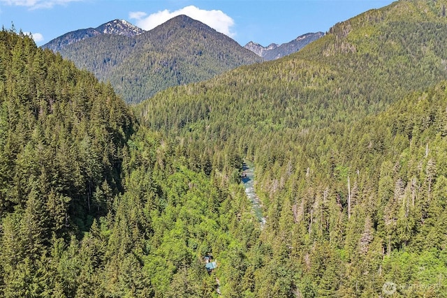 60018 Index Galena Rd, Sultan, WA 98294 - mountain view with a heavily wooded area