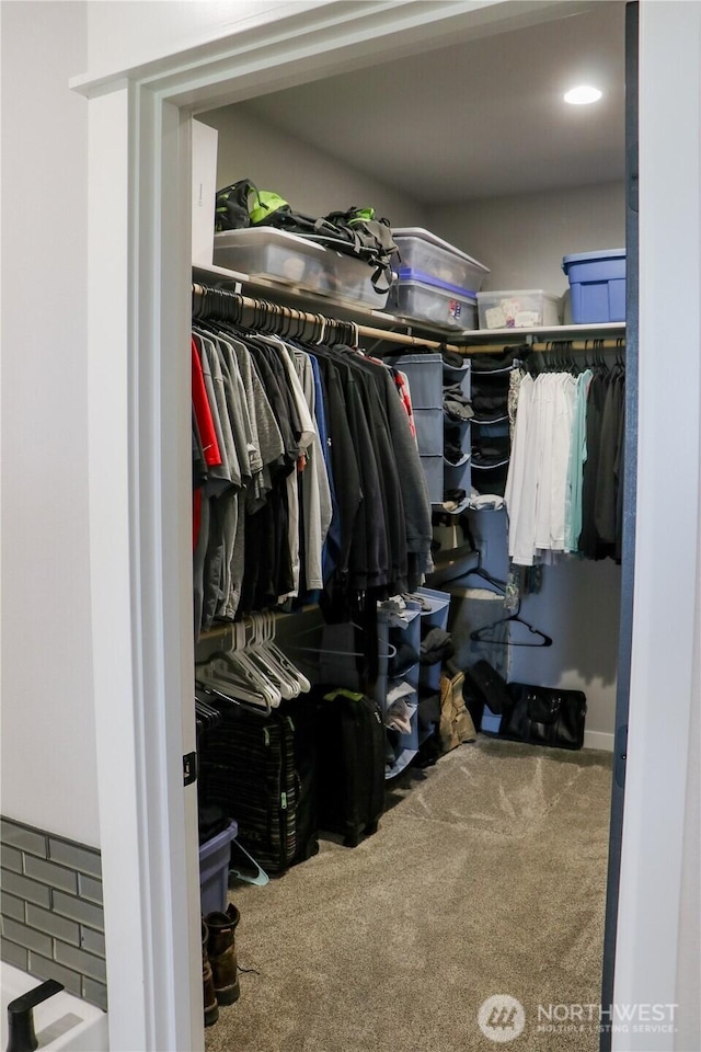 6354 Murray Way NE, Moses Lake, WA 98837 - spacious closet with carpet floors