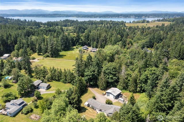 1902 Tellkamp Rd NE, Olympia, WA 98506 - aerial view of a forest and a water and mountain view