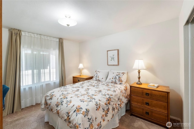 1902 Tellkamp Rd NE, Olympia, WA 98506 - carpeted bedroom with a closet
