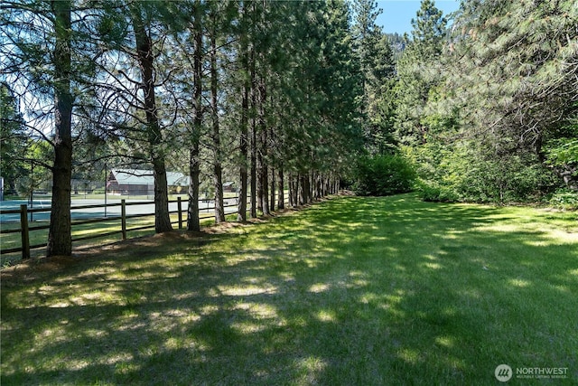 18680 US Highway 2, Lake Wenatchee, WA 98826 - view of yard