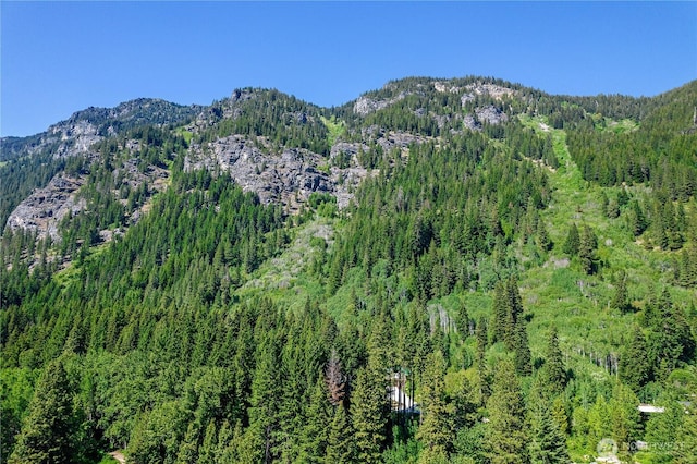 18680 US Highway 2, Lake Wenatchee, WA 98826 - mountain view featuring a heavily wooded area