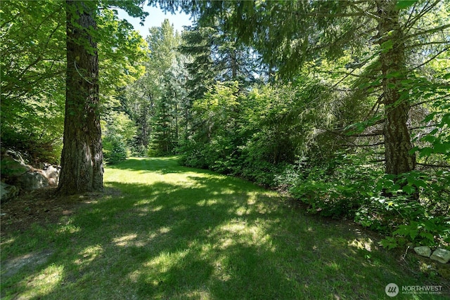 18680 US Highway 2, Lake Wenatchee, WA 98826 - view of grassy yard featuring a view of trees