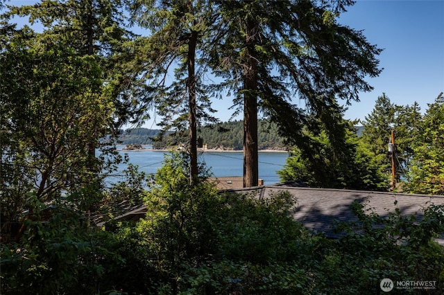 16757 Chilberg Ave, La Conner, WA 98257 - water view