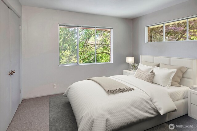 17004 16th Ave SW, Normandy Park, WA 98166 - bedroom featuring carpet flooring and baseboards