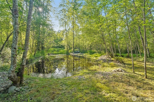 11924 210th St E, Graham, WA 98338 - view of wooded area