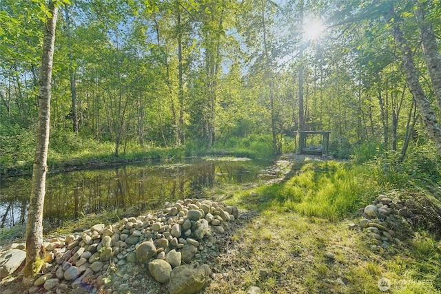 11924 210th St E, Graham, WA 98338 - view of yard with a forest view