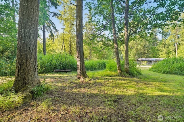 11924 210th St E, Graham, WA 98338 - view of yard