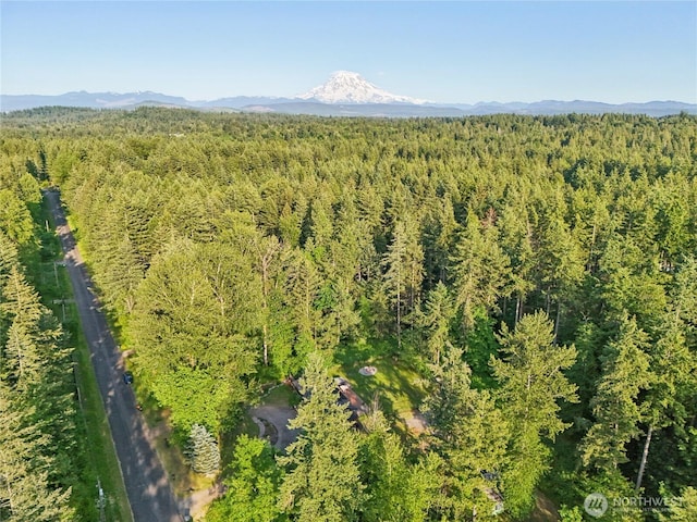 11924 210th St E, Graham, WA 98338 - aerial view of a forest and a mountain backdrop