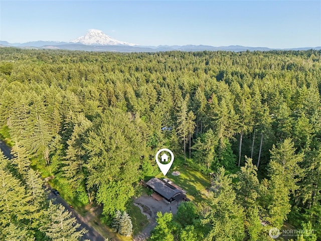 11924 210th St E, Graham, WA 98338 - aerial view of a heavily wooded area and a mountainous background