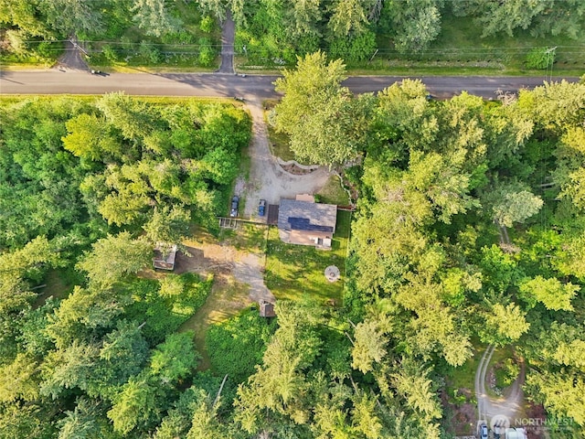 11924 210th St E, Graham, WA 98338 - aerial view of property and surrounding area