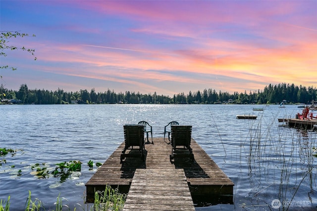 11009E Lake Joy Dr NE, Carnation, WA 98014 - dock featuring a water view