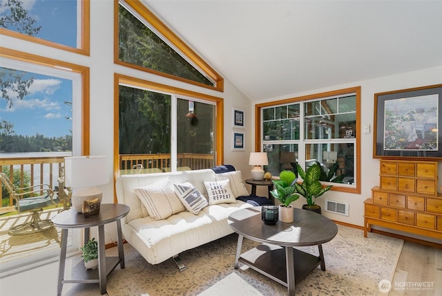 11009E Lake Joy Dr NE, Carnation, WA 98014 - living room featuring wood finished floors, baseboards, and high vaulted ceiling