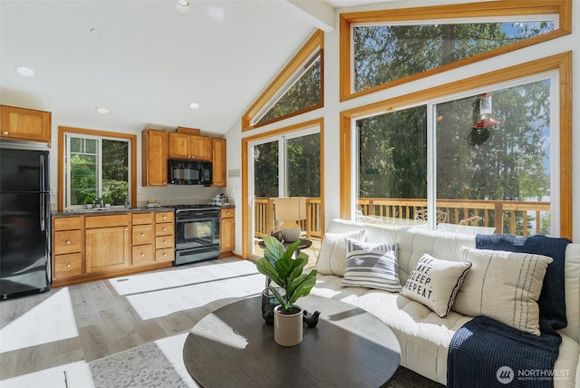 11009E Lake Joy Dr NE, Carnation, WA 98014 - living room featuring plenty of natural light, light wood-style flooring, beamed ceiling, and high vaulted ceiling