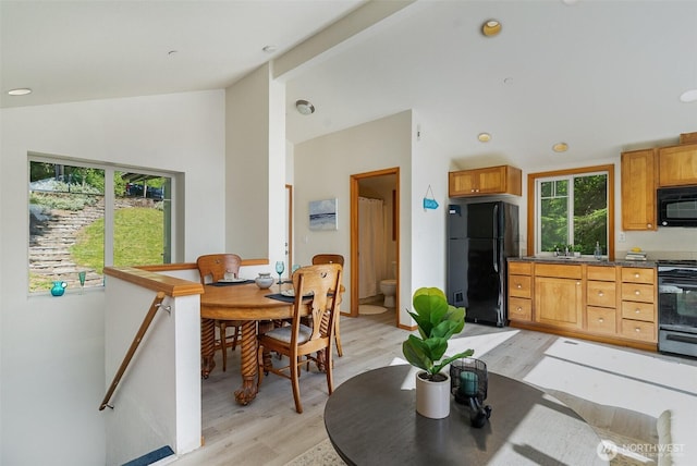 11009E Lake Joy Dr NE, Carnation, WA 98014 - dining space with light wood-type flooring and high vaulted ceiling