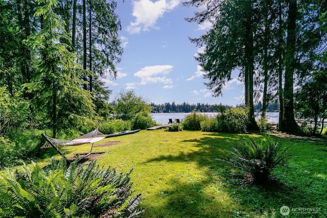 11009E Lake Joy Dr NE, Carnation, WA 98014 - view of grassy yard with a water view
