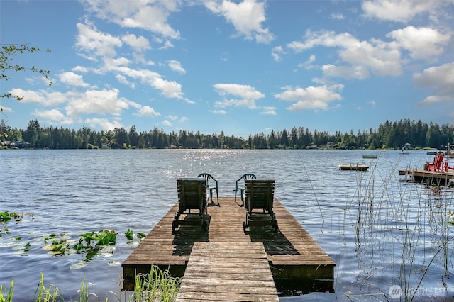 11009E Lake Joy Dr NE, Carnation, WA 98014 - dock with a water view and a forest view