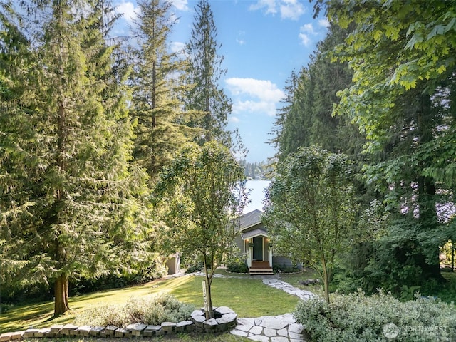 11009E Lake Joy Dr NE, Carnation, WA 98014 - view of property hidden behind natural elements with a front lawn