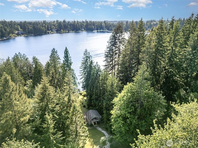 11009E Lake Joy Dr NE, Carnation, WA 98014 - water view featuring a forest