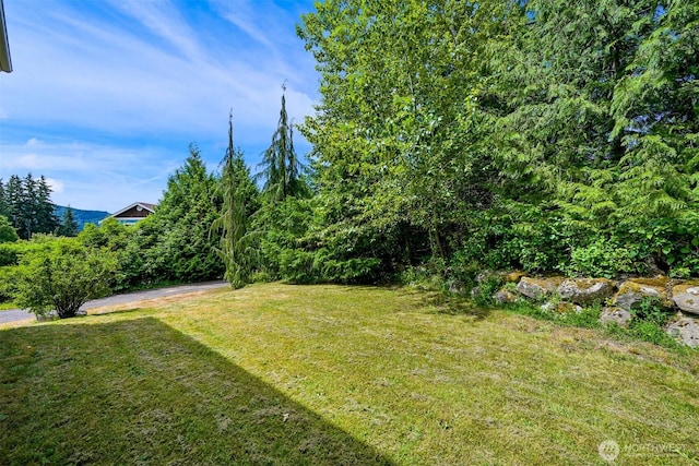 1999 Governor Rd, Bellingham, WA 98229 - view of green lawn