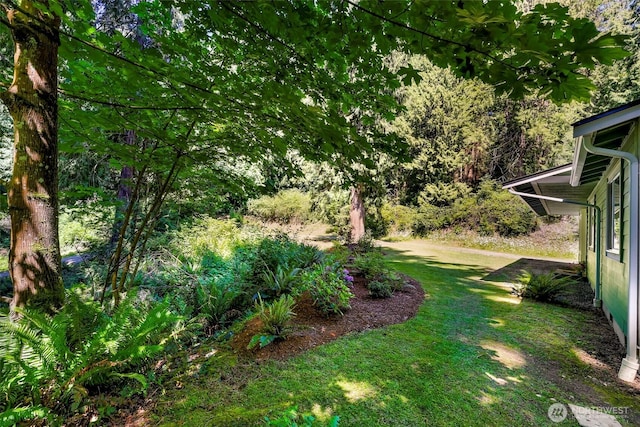 4441 Forgotten Ln, Clinton, WA 98236 - view of grassy yard