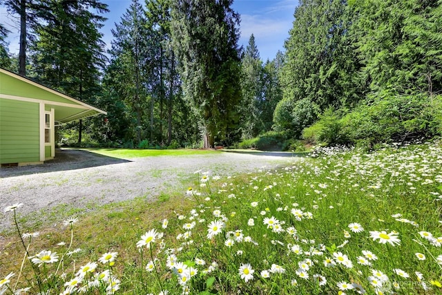 4441 Forgotten Ln, Clinton, WA 98236 - view of green lawn