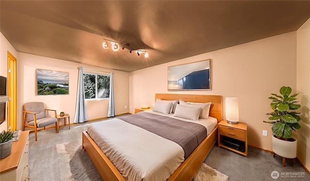 4441 Forgotten Ln, Clinton, WA 98236 - bedroom with carpet flooring and track lighting