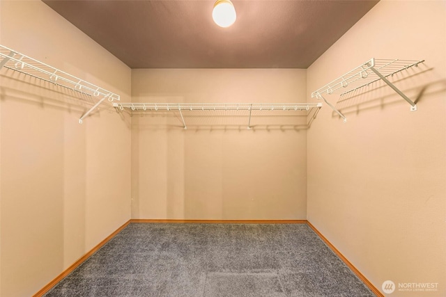 4441 Forgotten Ln, Clinton, WA 98236 - spacious closet featuring carpet floors