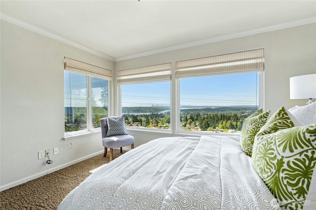 13712 SE 44th St, Bellevue, WA 98006 - carpeted bedroom with baseboards and crown molding