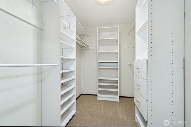 13712 SE 44th St, Bellevue, WA 98006 - spacious closet featuring carpet flooring