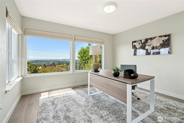 13712 SE 44th St, Bellevue, WA 98006 - office space with plenty of natural light, baseboards, and wood finished floors