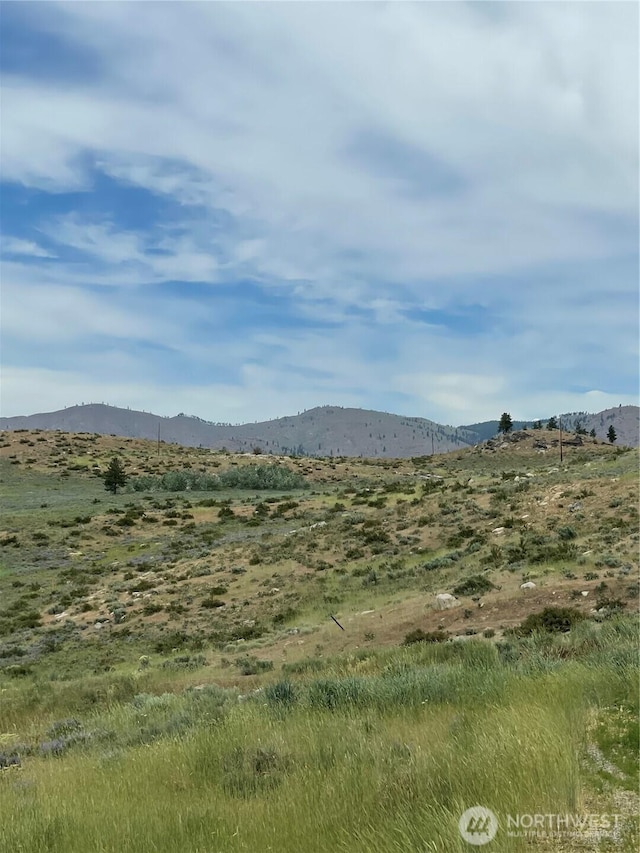 0XX Bill Shaw Rd, Pateros, WA 98846