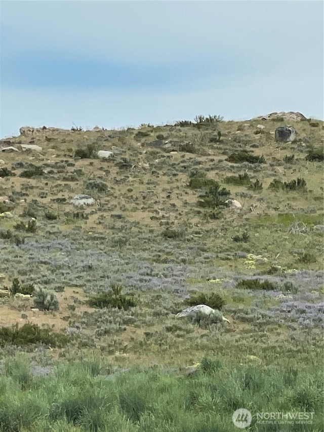 0XX Bill Shaw Rd, Pateros, WA 98846