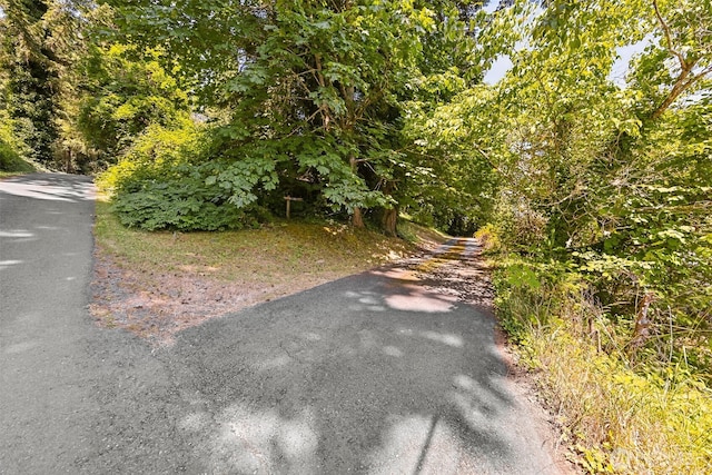 10320 46th Ave SE, Olympia, WA 98513 - view of street