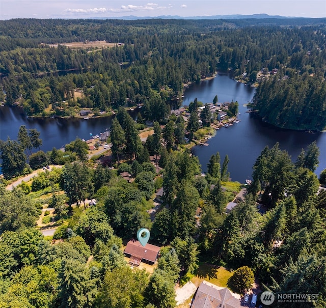 10320 46th Ave SE, Olympia, WA 98513 - drone / aerial view of a forest and a large body of water