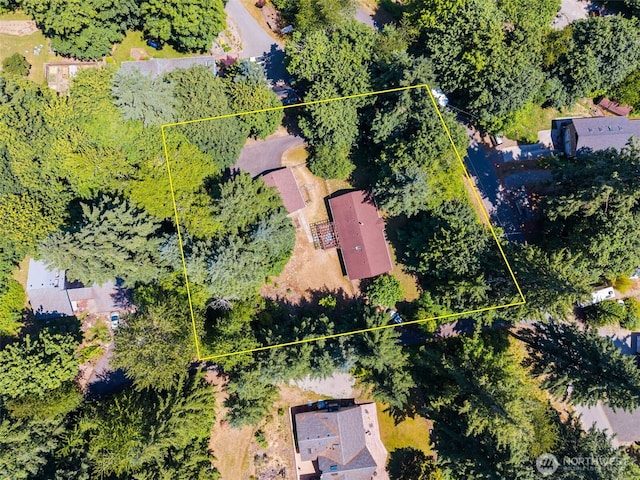 10320 46th Ave SE, Olympia, WA 98513 - aerial view of property and surrounding area with property boundaries highlighted