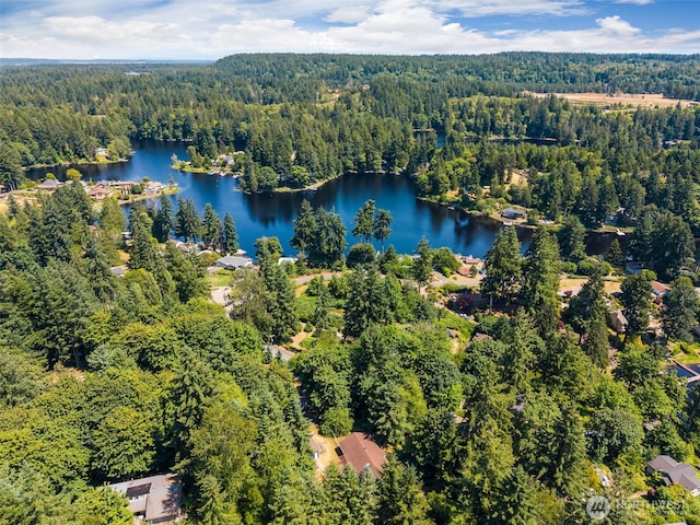 10320 46th Ave SE, Olympia, WA 98513 - view of property location featuring a heavily wooded area and a large body of water