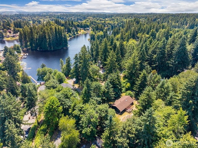 10320 46th Ave SE, Olympia, WA 98513 - aerial overview of property's location featuring a heavily wooded area and a large body of water