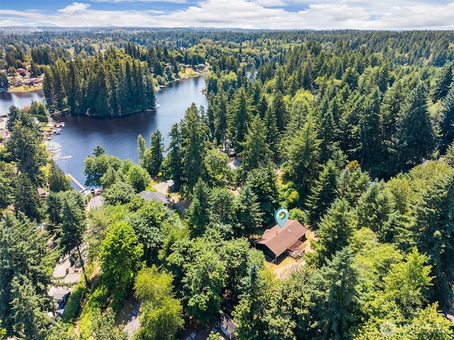 10320 46th Ave SE, Olympia, WA 98513 - view of property location with a heavily wooded area and a nearby body of water