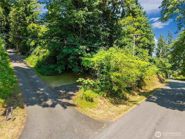 10320 46th Ave SE, Olympia, WA 98513 - view of asphalt street