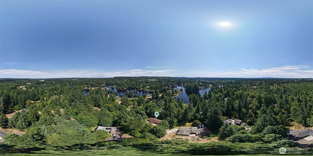 10320 46th Ave SE, Olympia, WA 98513 - aerial view of property's location featuring a forest and a nearby body of water