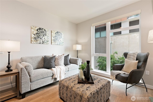 1085 103rd Ave NE Unit 203, Bellevue, WA 98004 - living room with light wood-type flooring and baseboards