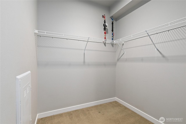 1085 103rd Ave NE Unit 203, Bellevue, WA 98004 - spacious closet featuring light carpet