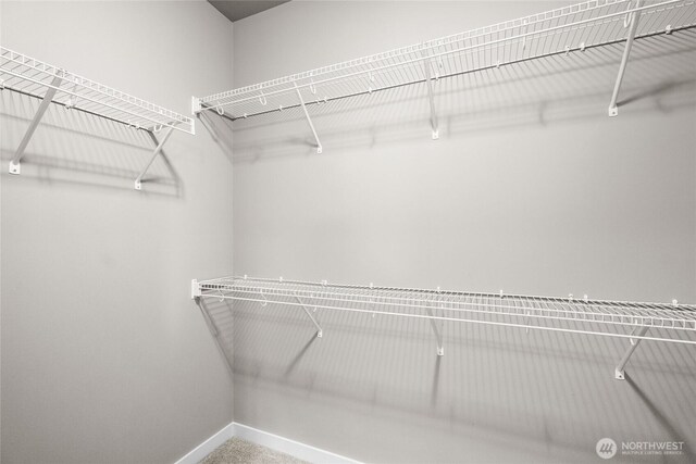 35681 30th Ave S, Federal Way, WA 98003 - view of spacious closet