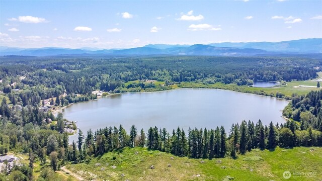 3116 Harts Lake Rd S, Roy, WA 98580 - photo 4