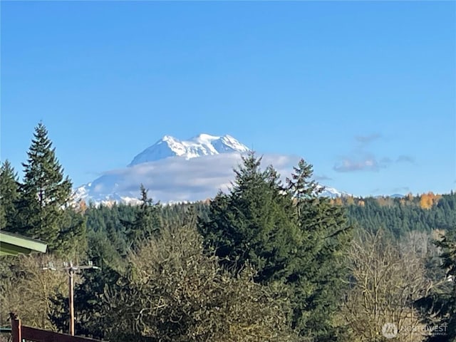 3116 Harts Lake Rd S, Roy, WA 98580 - photo 2